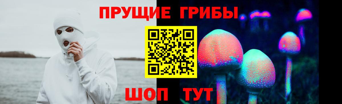 Галлюциногенные грибы прущие грибы Всеволожск